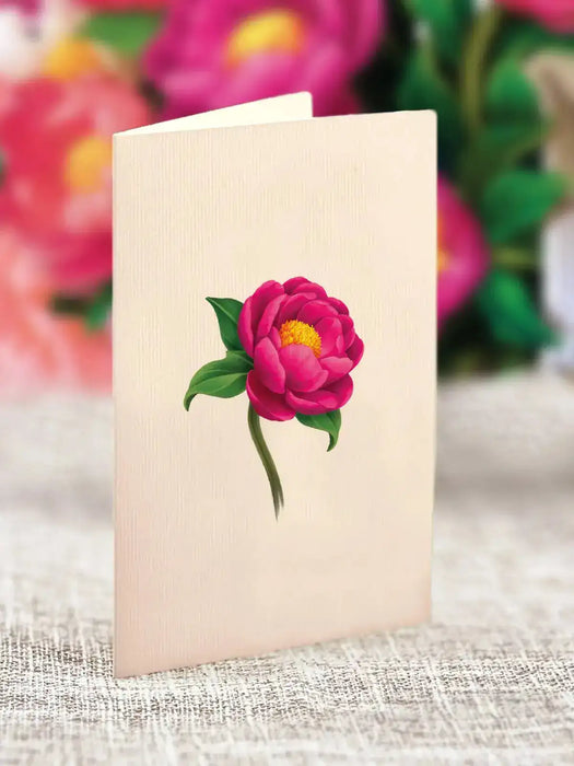 mini-peony-paradise-596316-compressed