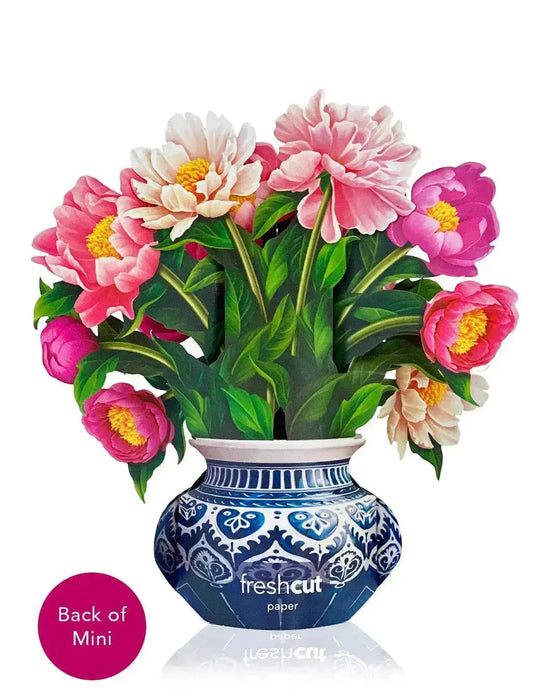 mini-peony-paradise-940188-compressed