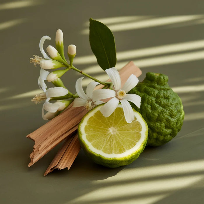 Pura SoHo Car Diffuser Scent Refill