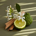 Pura SoHo Car Diffuser Scent Refill