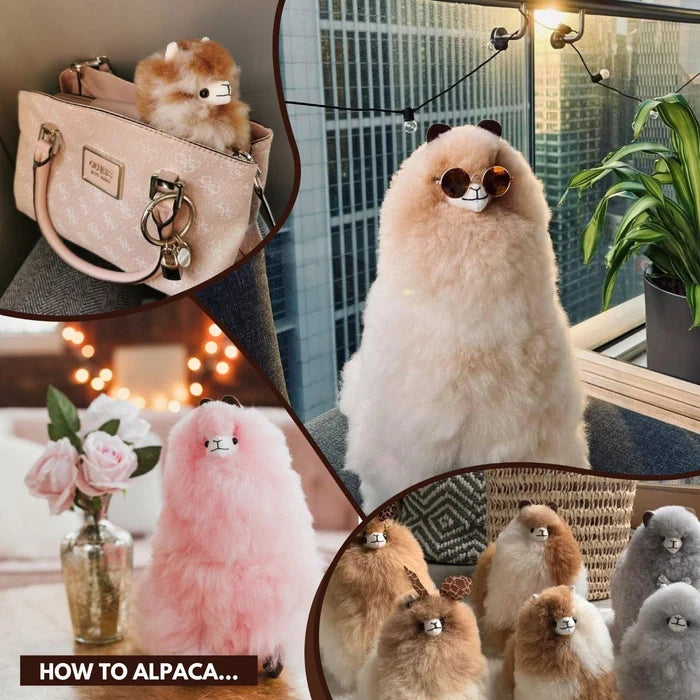 a collage of different ways to display alpaca plush with text "how to alpaca..."