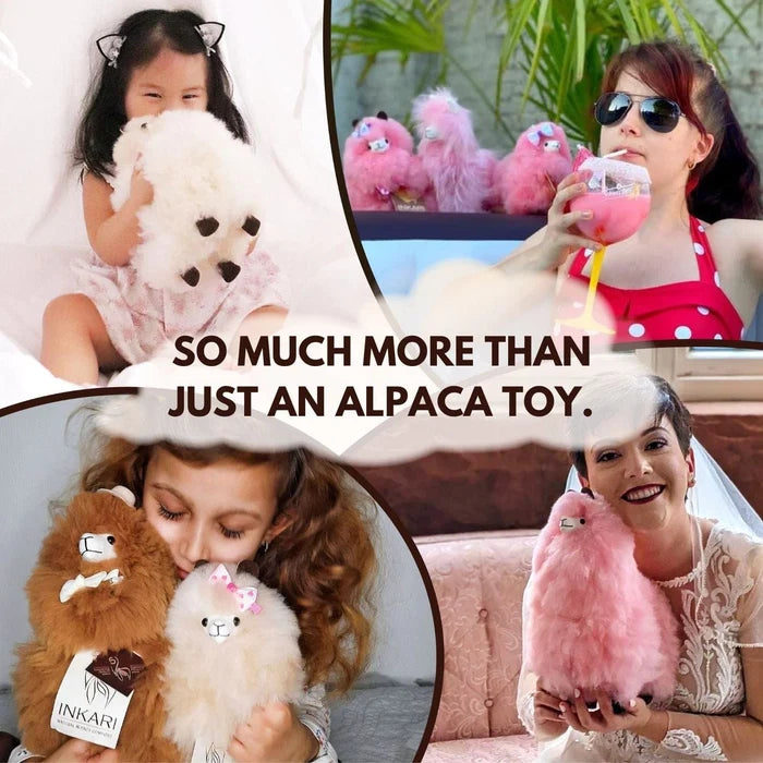 Collage of people holding plush alpaca toys with text 'SO MUCH MORE THAN JUST AN ALPACCA TOY.'