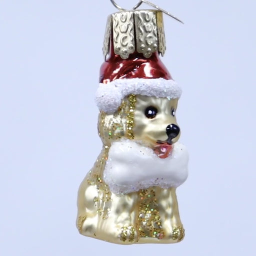 Old World Christmas Mini Jolly Pup Ornament