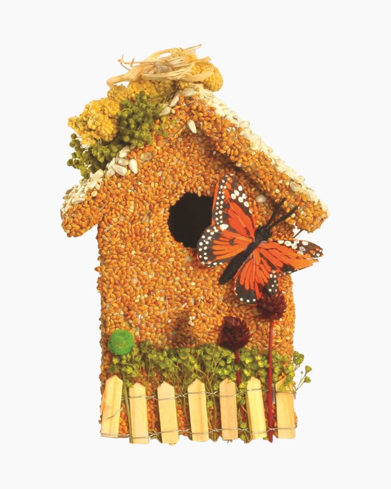 Bird Feeders