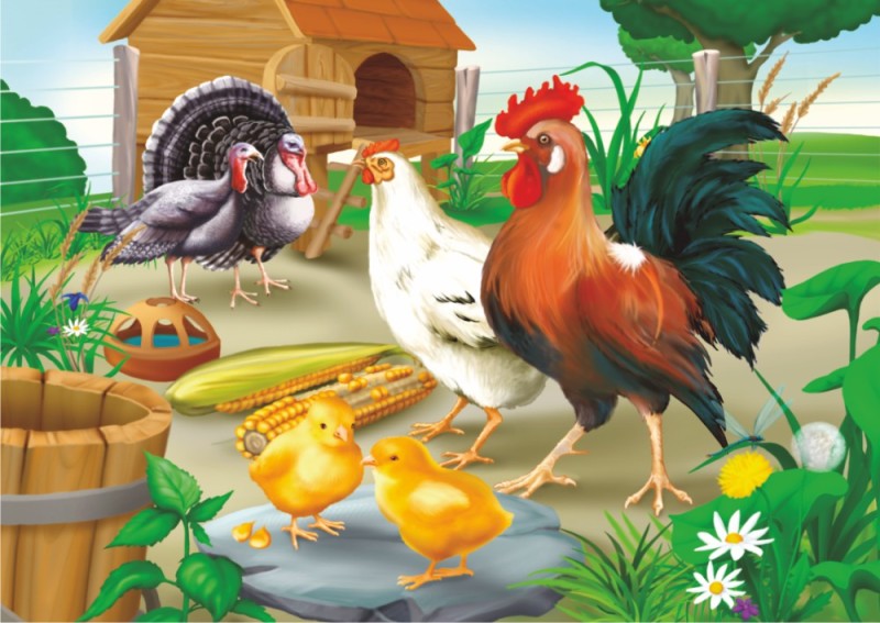 Rooster and Hen 35 Piece Jigsaw Puzzle