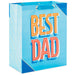 Best Dad Large Gift Bag