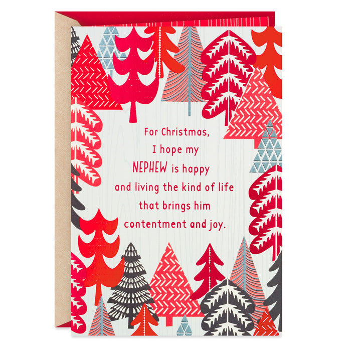 Contentment and Joy Christmas Card for Nephew