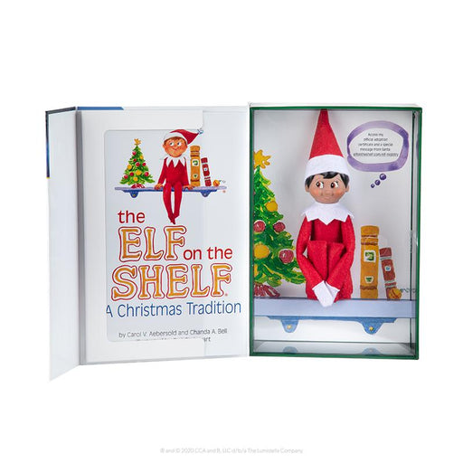 Light Skinned Boy Elf and English Book