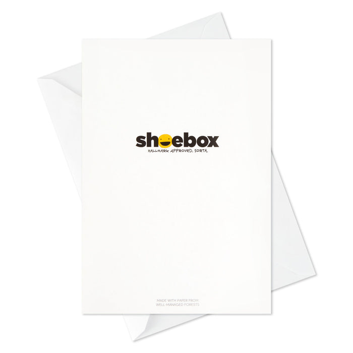 Funny Shoebox Assorted Blank Boxed Cards