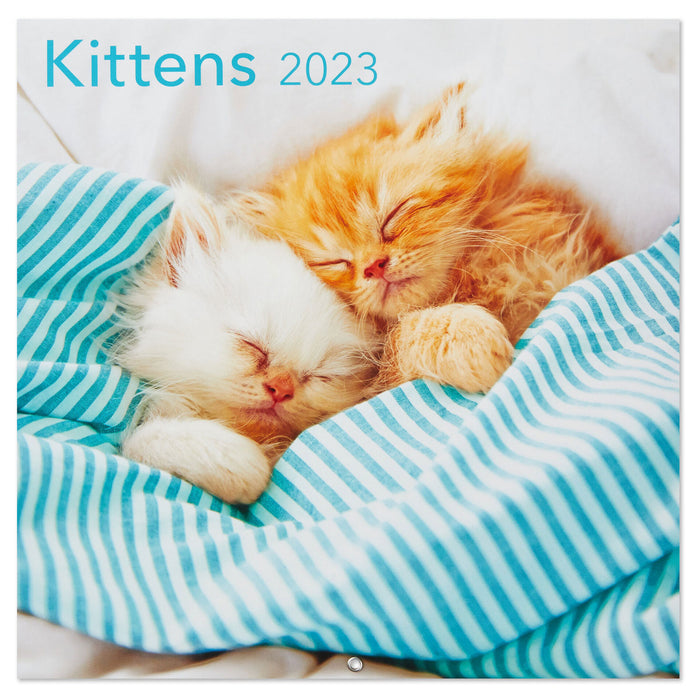Kittens 2023 Wall Calendar