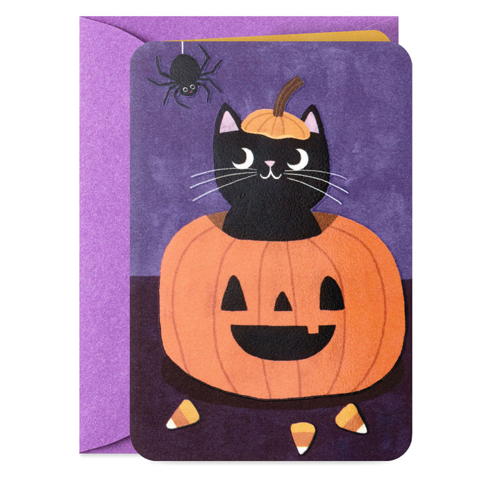 Mini Smile Black Cat in Pumpkin Halloween Card