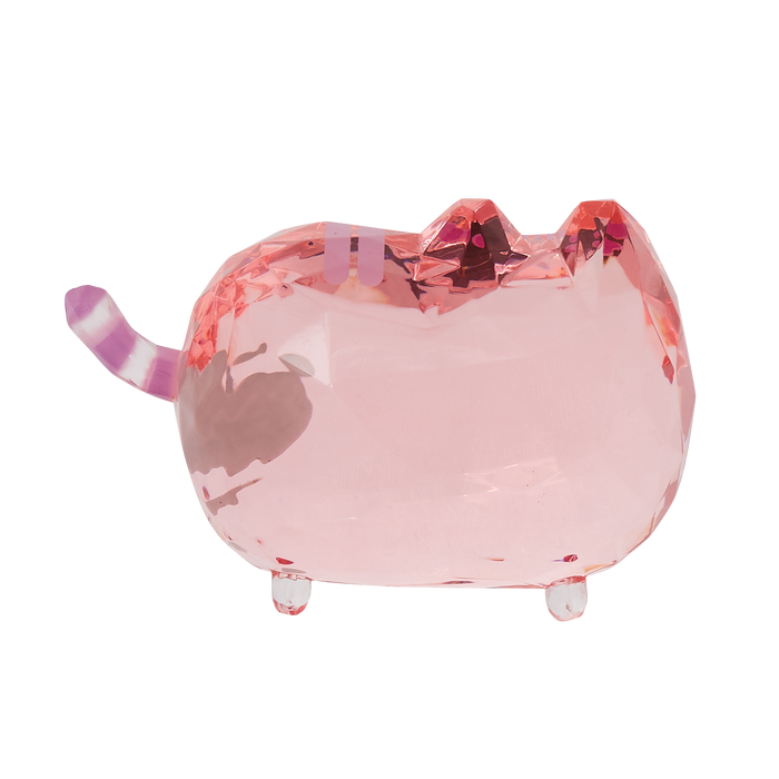 Pusheen flamingo top