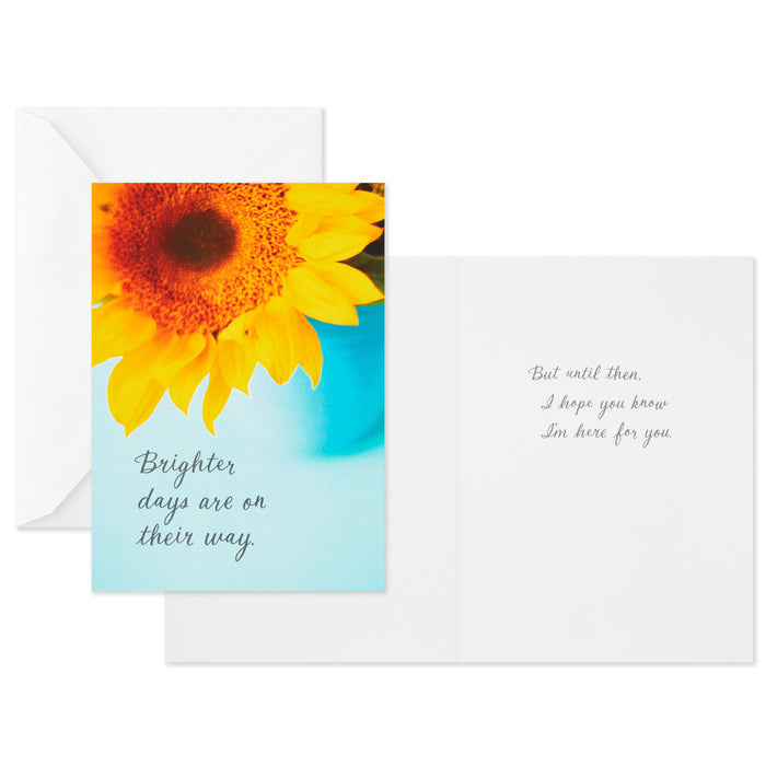 Nature Images Assorted Thinking of You Cards