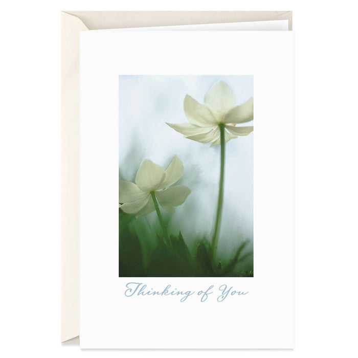 Paperwhite Flower Blossoms Sympathy Card