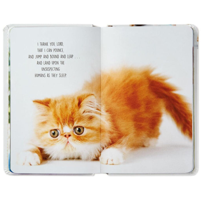 Pet Prayers: Funny Pleas and Praise From Our Animal Friends Book