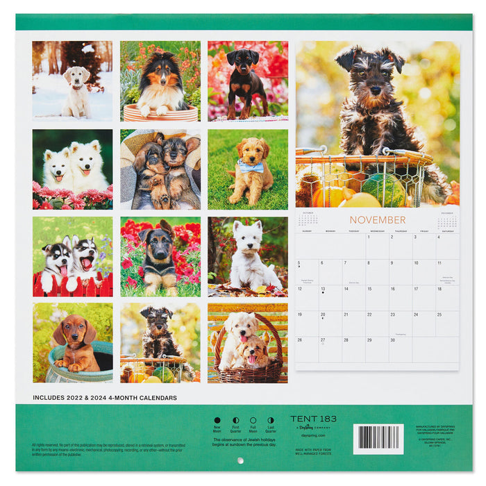 Puppies 2023 Wall Calendar