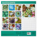 Succulents 2023 Wall Calendar