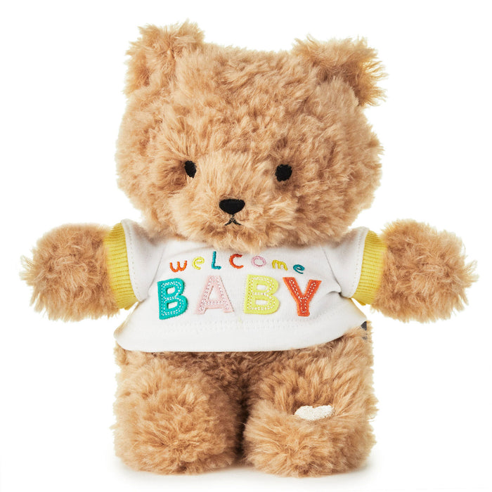 Welcome Baby Recordable Teddy Bear Stuffed Animal