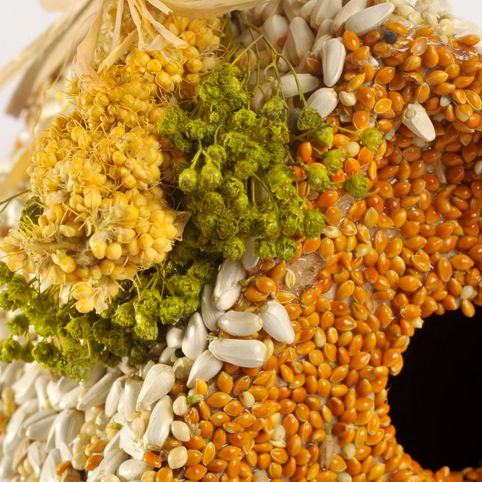 Butterfly All Season Birdie Cottage