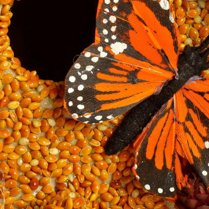 Butterfly All Season Birdie Cottage